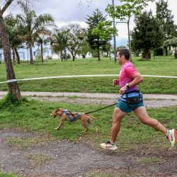 Dog Run.