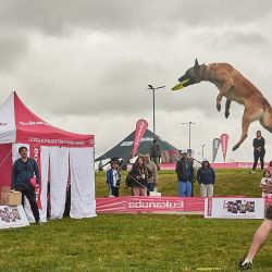 Dog Run.