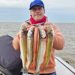 El tamaño de los ejemplares volvió a demostrar que el Río de la Plata conserva una interesante población de pejerreyes de calidad. Varias piezas superaron los 40 cm, mientras que el ejemplar de 970 g, se convirtió en el gran protagonista de la jornada.