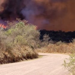 El proyecto de ordenanza plantea un órgano mixto para reunir información, recibir denuncias reservadas y derivar antecedentes a las autoridades, tras los grandes incendios registrados en 2024.
