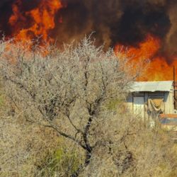 Los datos oficiales de la provincia de Córdoba muestran que durante 2024 se registraron 586 incendios y 103.327 hectáreas afectadas. 