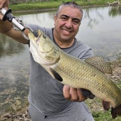 Las imágenes de la salida sirven, en este caso, para dimensionar la belleza del paisaje y la calidad de pesca que ofrece actualmente este sector del río Utis.