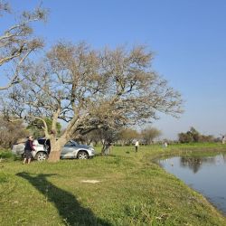 Las imágenes de la salida sirven, en este caso, para dimensionar la belleza del paisaje y la calidad de pesca que ofrece actualmente este sector del río Utis.