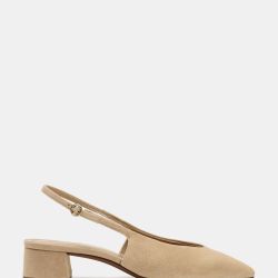 Zapatos elegantes.