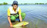 El Niño viene con buenos dorados