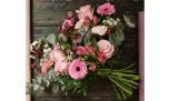 Día de la primavera: el renacer astrológico que llega con un cambio vibracional profundo
