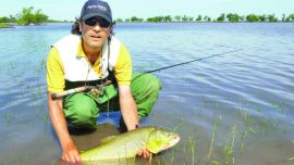 El Niño viene con buenos dorados