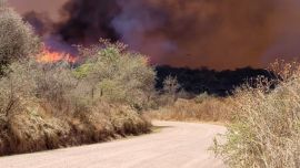 El proyecto de ordenanza plantea un órgano mixto para reunir información, recibir denuncias reservadas y derivar antecedentes a las autoridades, tras los grandes incendios registrados en 2024.