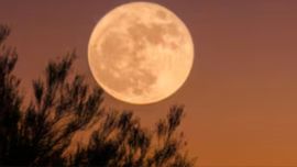 Luna llena septiembre 2026: cuándo es y dónde se podrá ver la Luna de la Cosecha