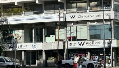 Wellvet