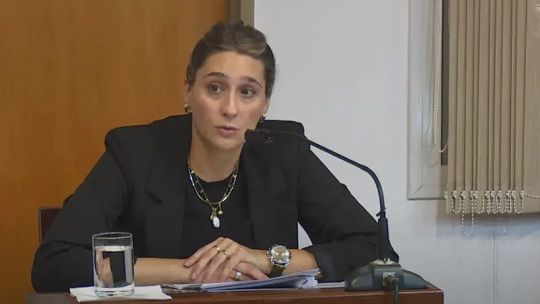 Pia Felpeto