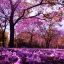 2109_primavera