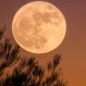 Luna llena septiembre 2026: cuándo es y dónde se podrá ver la Luna de la Cosecha