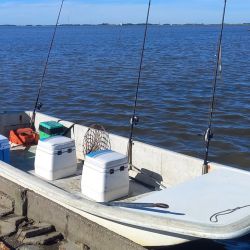 El temporal posterior modificará seguramente las condiciones y habrá que esperar para comprobar cómo responde la albufera una vez que el ambiente vuelva a estabilizarse. Sin embargo, las primeras capturas dejaron en claro que la lisa ya es alternativa en Mar Chiquita. 