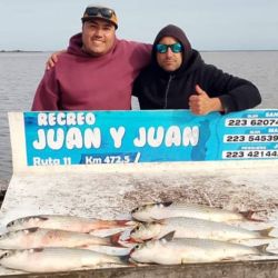 El temporal posterior modificará seguramente las condiciones y habrá que esperar para comprobar cómo responde la albufera una vez que el ambiente vuelva a estabilizarse. Sin embargo, las primeras capturas dejaron en claro que la lisa ya es alternativa en Mar Chiquita. 