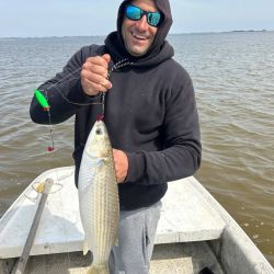 El temporal posterior modificará seguramente las condiciones y habrá que esperar para comprobar cómo responde la albufera una vez que el ambiente vuelva a estabilizarse. Sin embargo, las primeras capturas dejaron en claro que la lisa ya es alternativa en Mar Chiquita. 