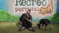 Lisandro Navarro en Recreo Perruno, la guardería canina que abrió en Canning