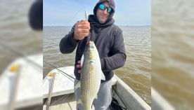 2209_PESCA