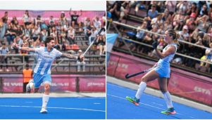 Leones y Leonas