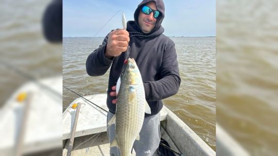 Primeras lisas en Mar Chiquita: grandes ejemplares y una pesca que promete mucho