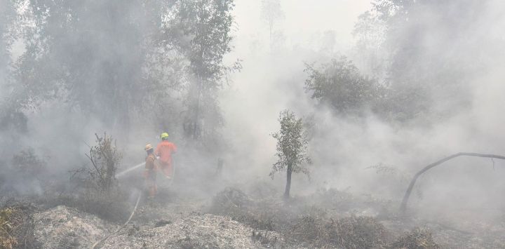 Bomberos extinguen incendios forestales y de vegetación en Banjar, Kalimantan del Sur. Una bruma tóxica ha cubierto partes de Indonesia, Malasia y Singapur durante semanas, mientras Yakarta lucha por contener los incendios que han arrasado grandes extensiones de Borneo y Sumatra, con el humo desplazándose por toda la región.