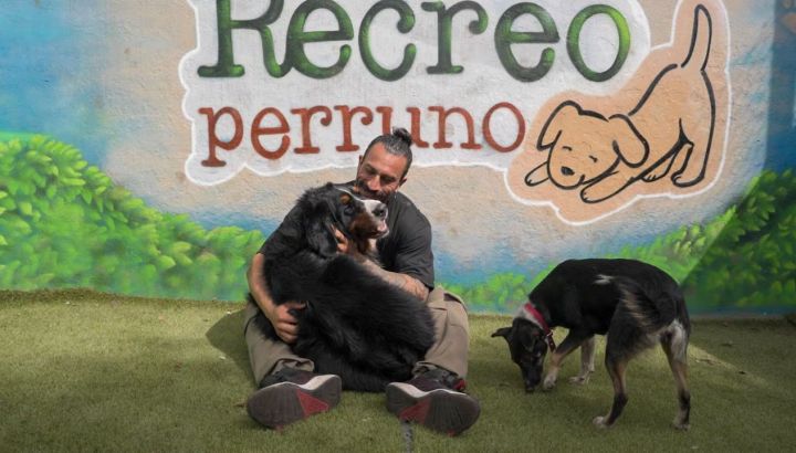 Así es la guardería canina que abrió Lisandro Navarro, ex Gran Hermano: baños y peluquería, espacios para disfrutar y talleres