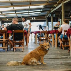 Mercedes, Tomás Jofré y Altamira, ciudades cercanas para disfrutar en una escapada tranquila.