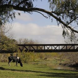 Mercedes, Tomás Jofré y Altamira, ciudades cercanas para disfrutar en una escapada tranquila.