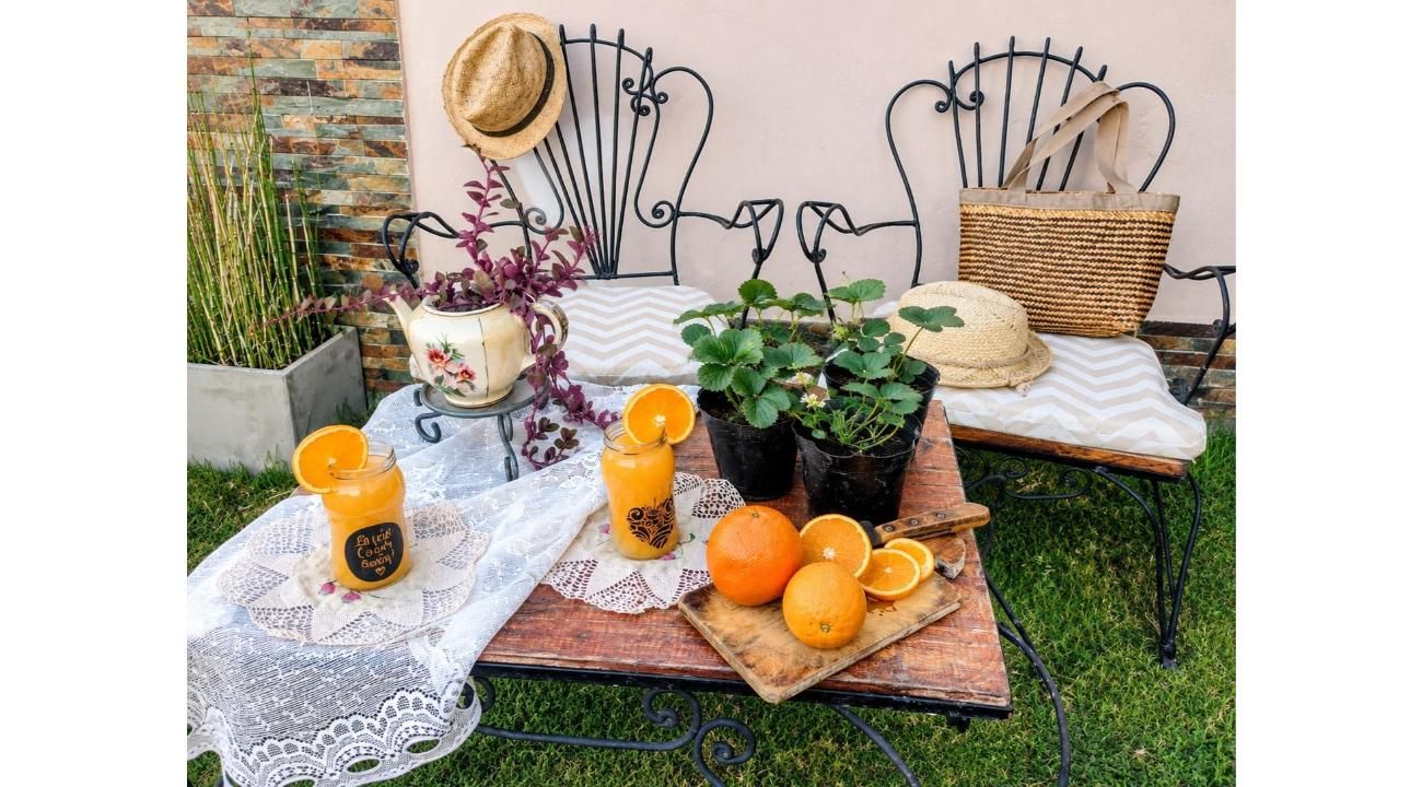 JARDÍN VINTAGE