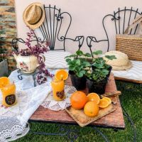 JARDÍN VINTAGE