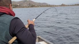 2309_PESCA