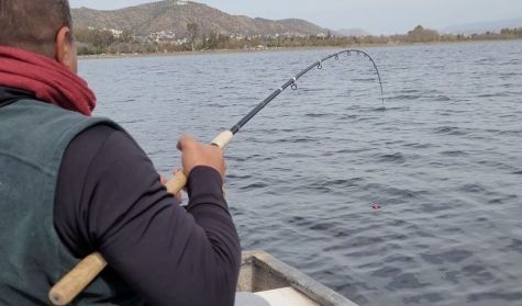 2309_PESCA