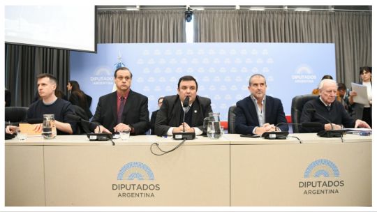 Discapacidad: el Gobierno cedió ante los aliados y logró dictamen en Diputados