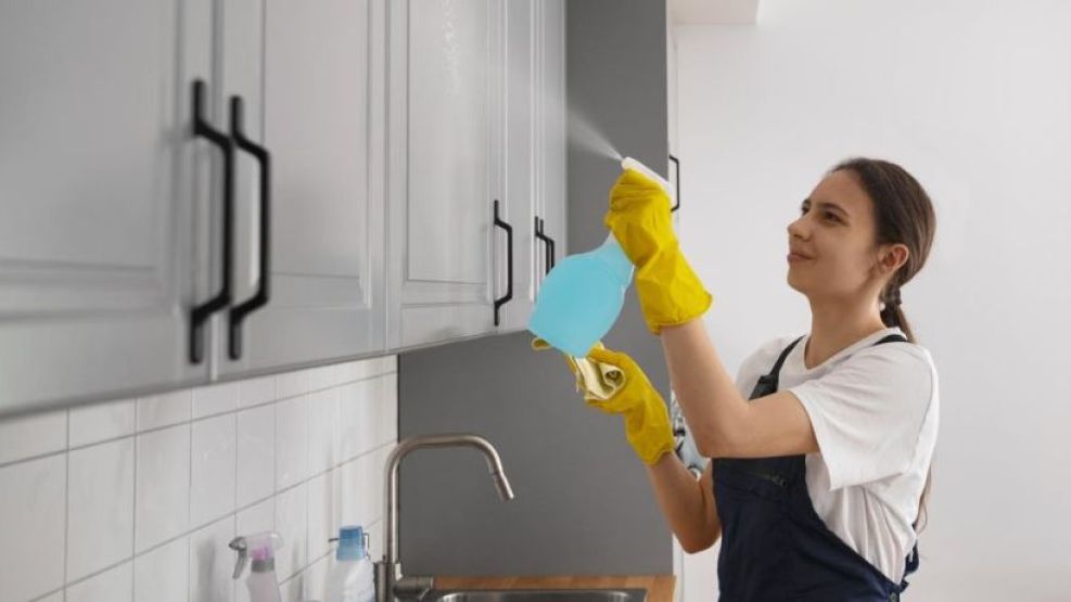 Empleadas Domesticas