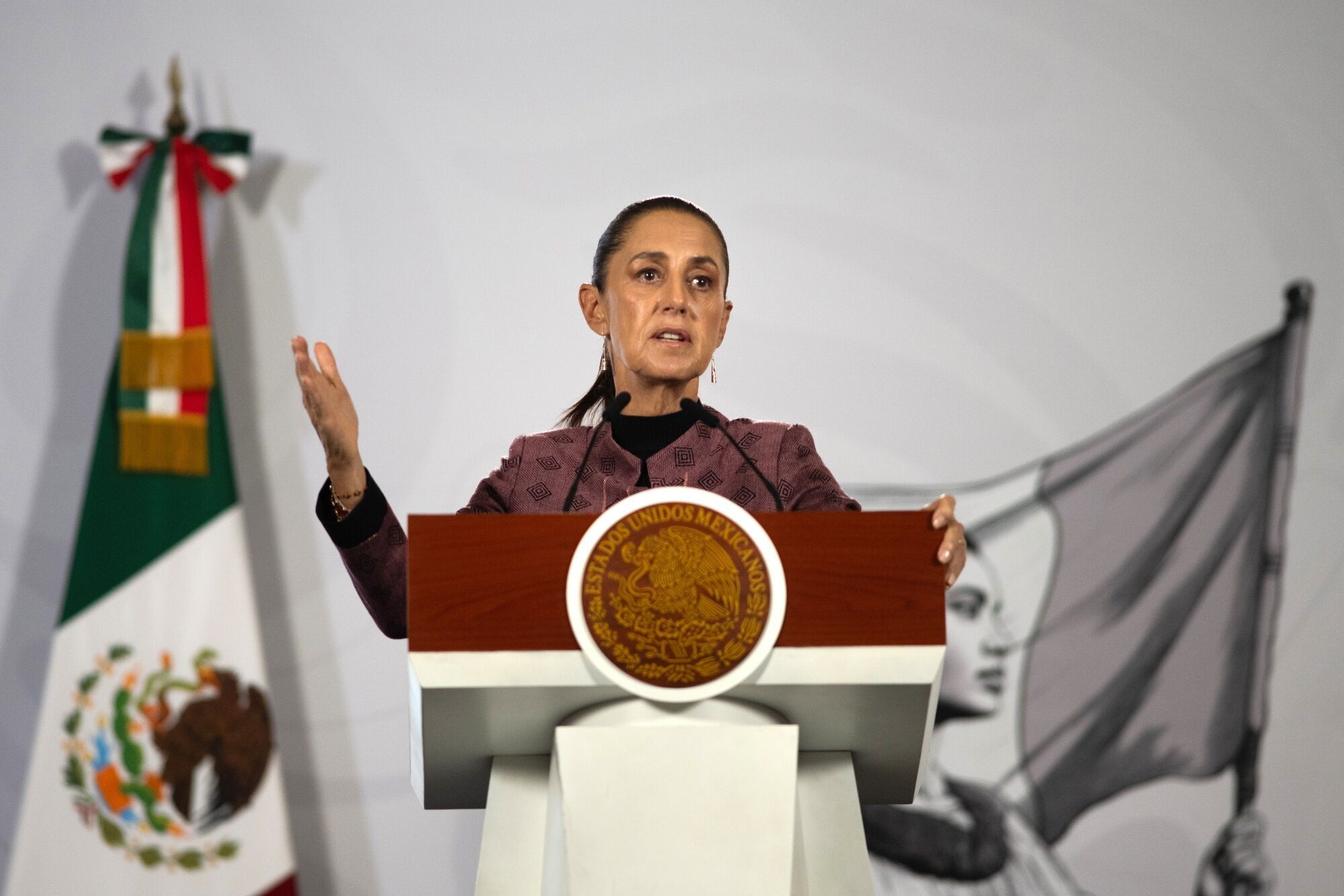 President Sheinbaum Holds Morning Press Conference 
