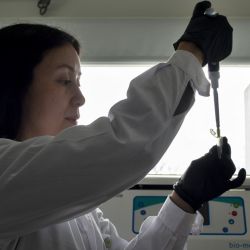 Yanina Briñoccoli es becaria del CONICET y la investigación fue parte de su tesis doctoral.