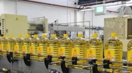 Aceite