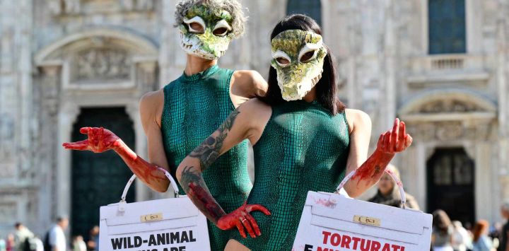 Miembros de PETA (Personas por el Trato Ético de los Animales) llevan a cabo una protesta en la Piazza Duomo durante la primera jornada de la Semana de la Moda de Milán.