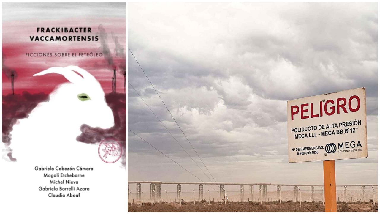 Frackibacter Vaccamortensis y el paisaje de Vaca Muerta. | Foto:Tenemos las máquinas y Proyecto Eco Eco