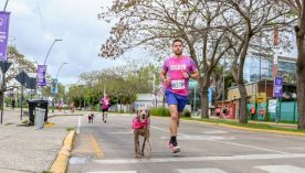2509_dog run