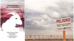Frackibacter Vaccamortensis y el paisaje de Vaca Muerta. | Foto:Tenemos las máquinas y Proyecto Eco Eco