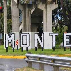 Una jornada provechosa en una condición de domingo difícil, pero que demuestra que cuando el pescador sabe leer el ámbito, los resultados pueden ser extraordinarios. 