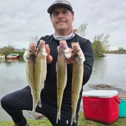 Una jornada provechosa en una condición de domingo difícil, pero que demuestra que cuando el pescador sabe leer el ámbito, los resultados pueden ser extraordinarios. 