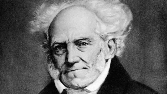Schopenhauer en tribunales