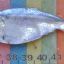 2809_tres_peces