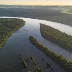 La iniciativa propone un sistema de corredores biológicos donde la producción humana conviva en armonía con el desarrollo de la fauna silvestre.