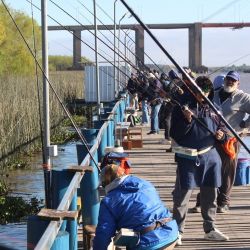 Entre las distintas alternativas para capturar sardinas, la denominada pesca al vuelo es una de las más entretenidas y efectivas. La técnica puede parecer sencilla, aunque requiere atención y precisión para encontrar el ritmo de trabajo adecuado.