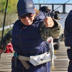 Entre las distintas alternativas para capturar sardinas, la denominada pesca al vuelo es una de las más entretenidas y efectivas. La técnica puede parecer sencilla, aunque requiere atención y precisión para encontrar el ritmo de trabajo adecuado.