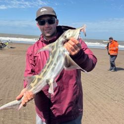 La captura de Luis Nervi también generó comentarios entre los pescadores que siguen el circuito de concursos de la costa bonaerense. El pez violín es una especie que ha sido retirada de distintos concursos de pesca, debido a consideraciones vinculadas con su conservación. 