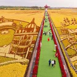 Personas visitan obras de arte en los arrozales durante un evento que celebra el noveno Festival de la Cosecha de los Agricultores Chinos en una granja del Grupo Beidahuang, en la provincia de Heilongjiang, en el noreste de China. | Foto:Xinhua/Zhang Tao